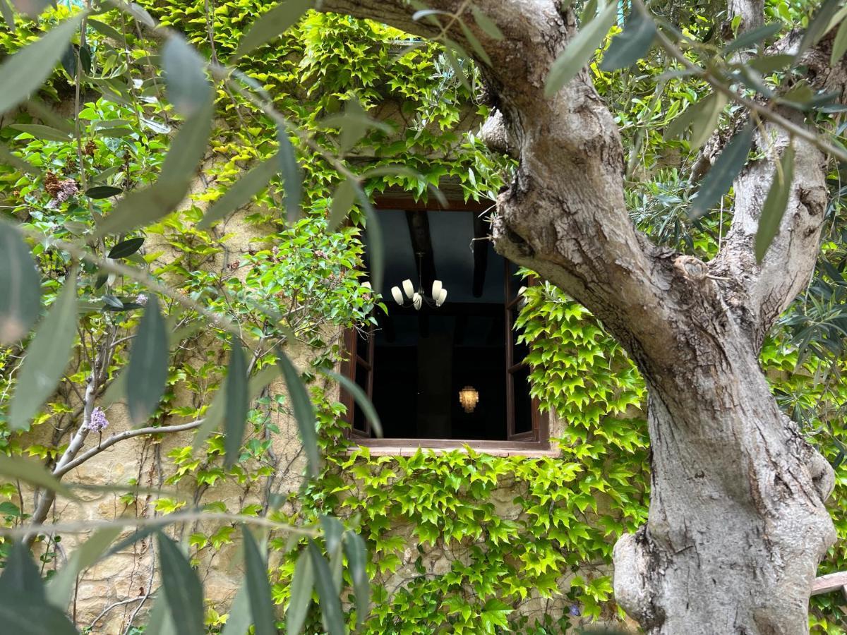 Apartmán Antiguo Molino Arnés Exteriér fotografie